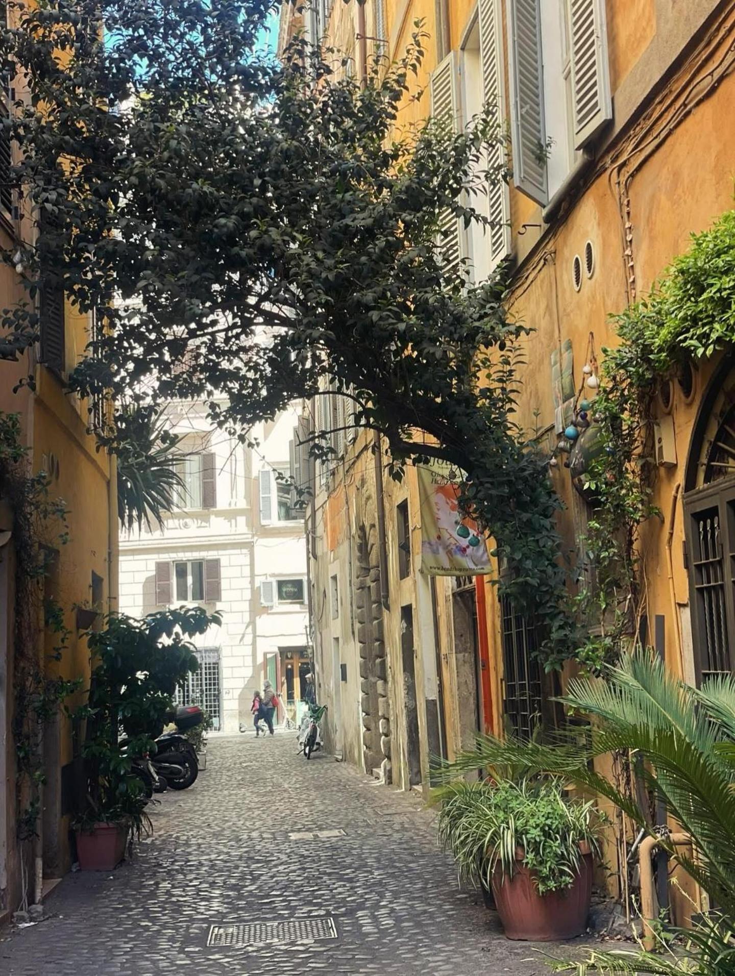 Gasthof Bellaroma Navona